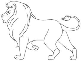 Image result for lion