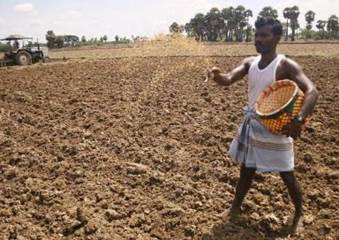 Image result for farmer sowing seeds